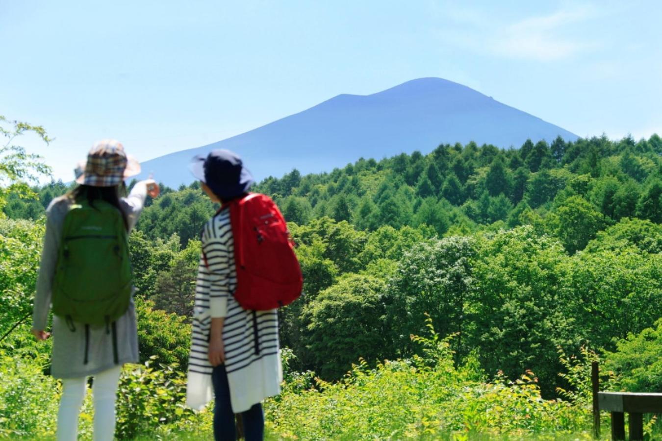 Ana Holiday Inn Resort Karuizawa By Ihg Kita-karuisawa Exteriér fotografie